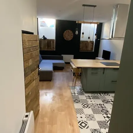 T2 4 Places 4min A Pied Chateau Pau